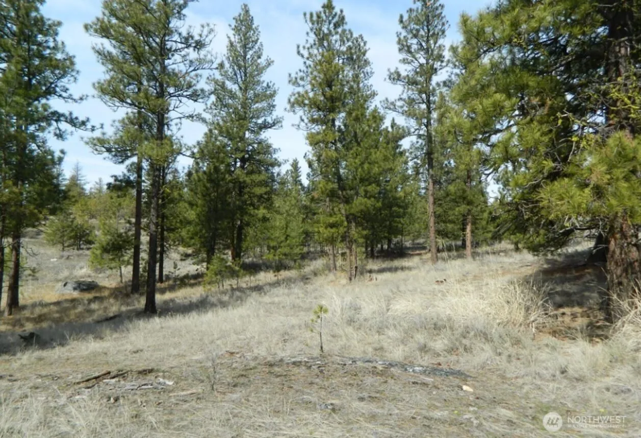 Property photo for 280 Reevas Basin Road, Tonasket photo 4
