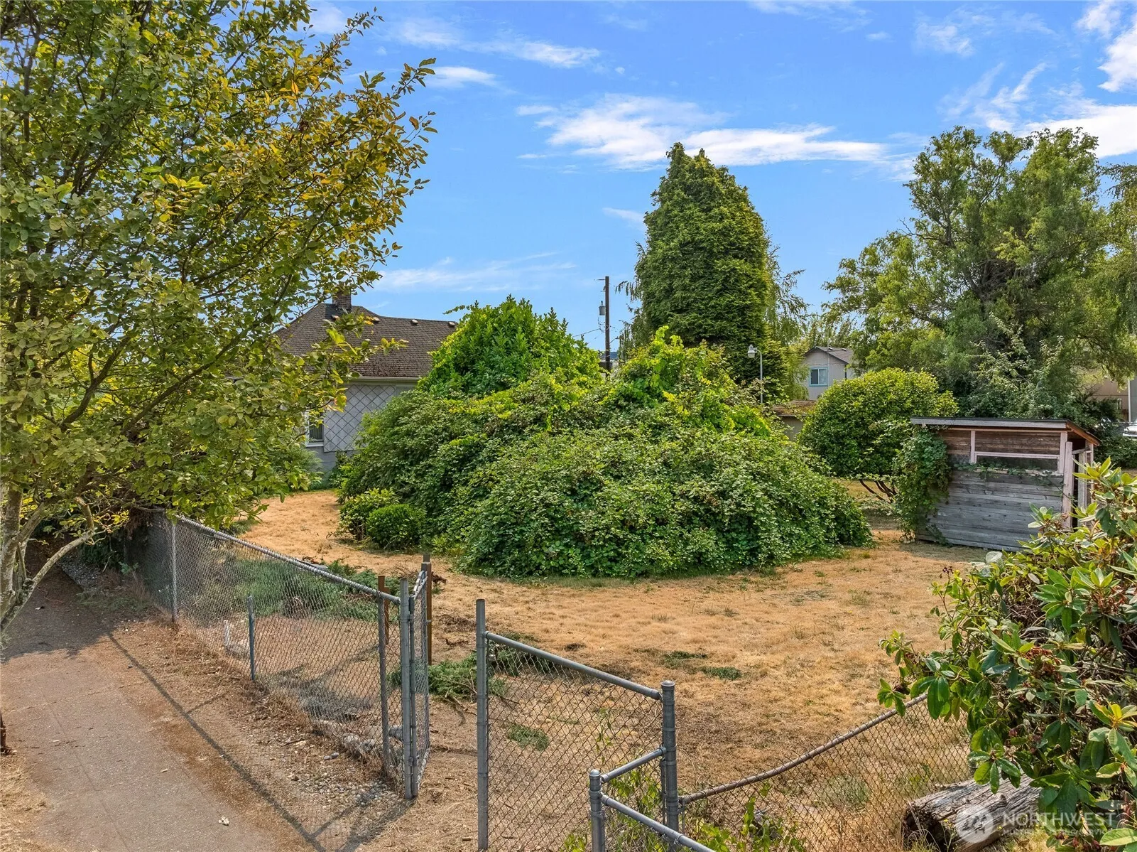 Property photo for 1445 S Cloverdale Street, Seattle photo 5