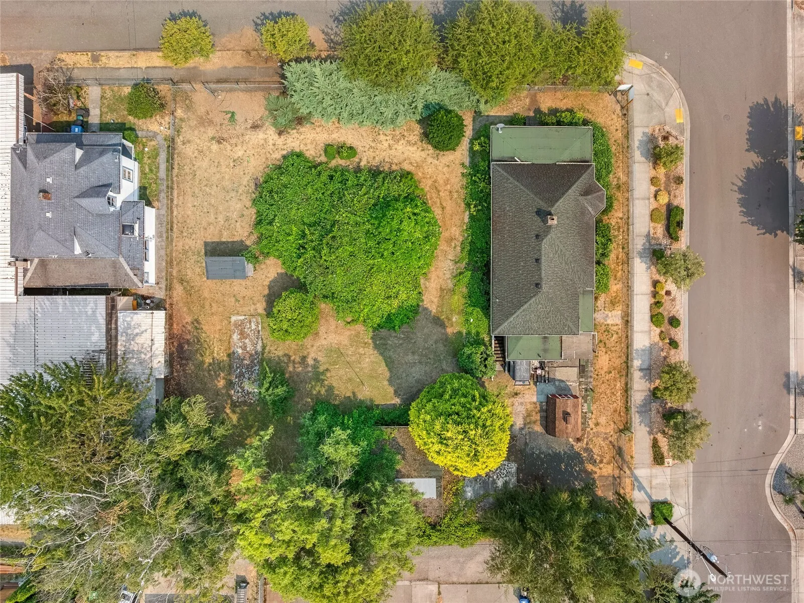 Property photo for 1445 S Cloverdale Street, Seattle photo 3