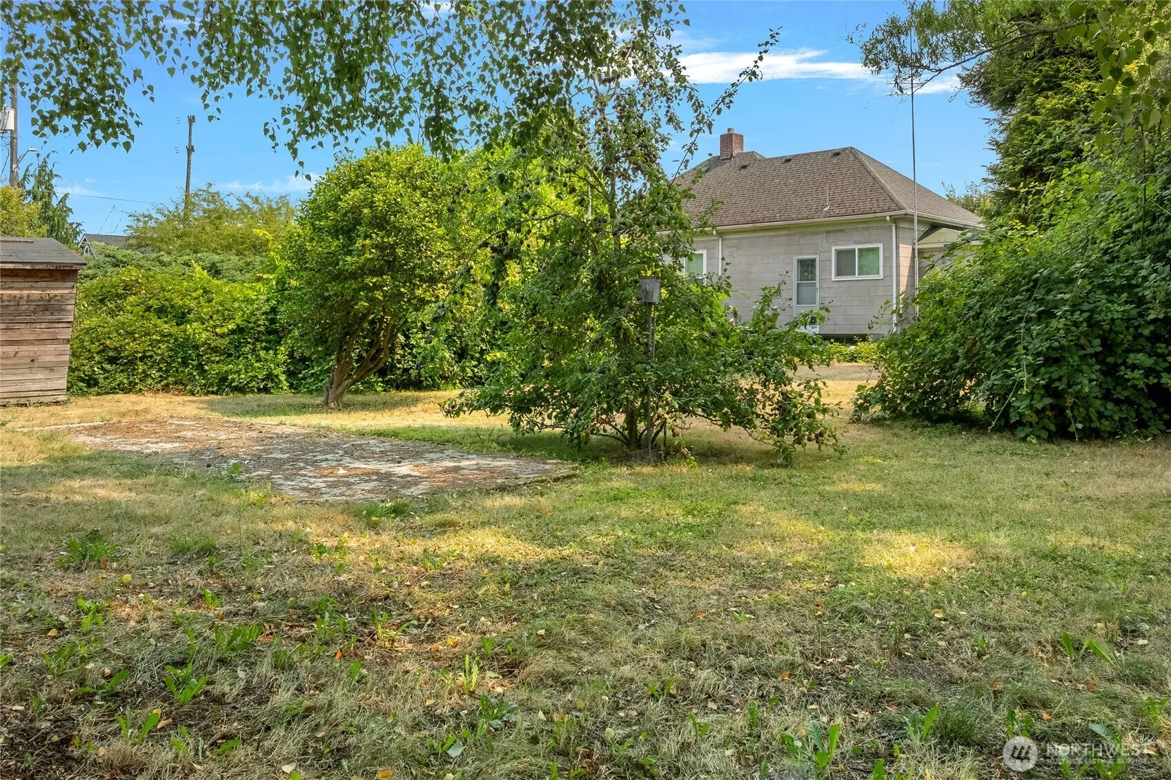 Property photo for 1445 S Cloverdale Street, Seattle photo 4