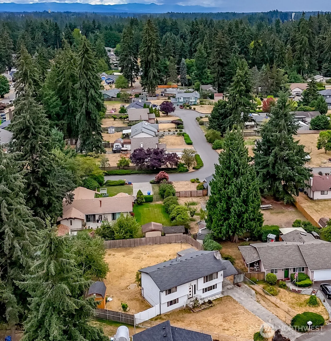 Property photo for 1134 156th Street E, Tacoma photo 2