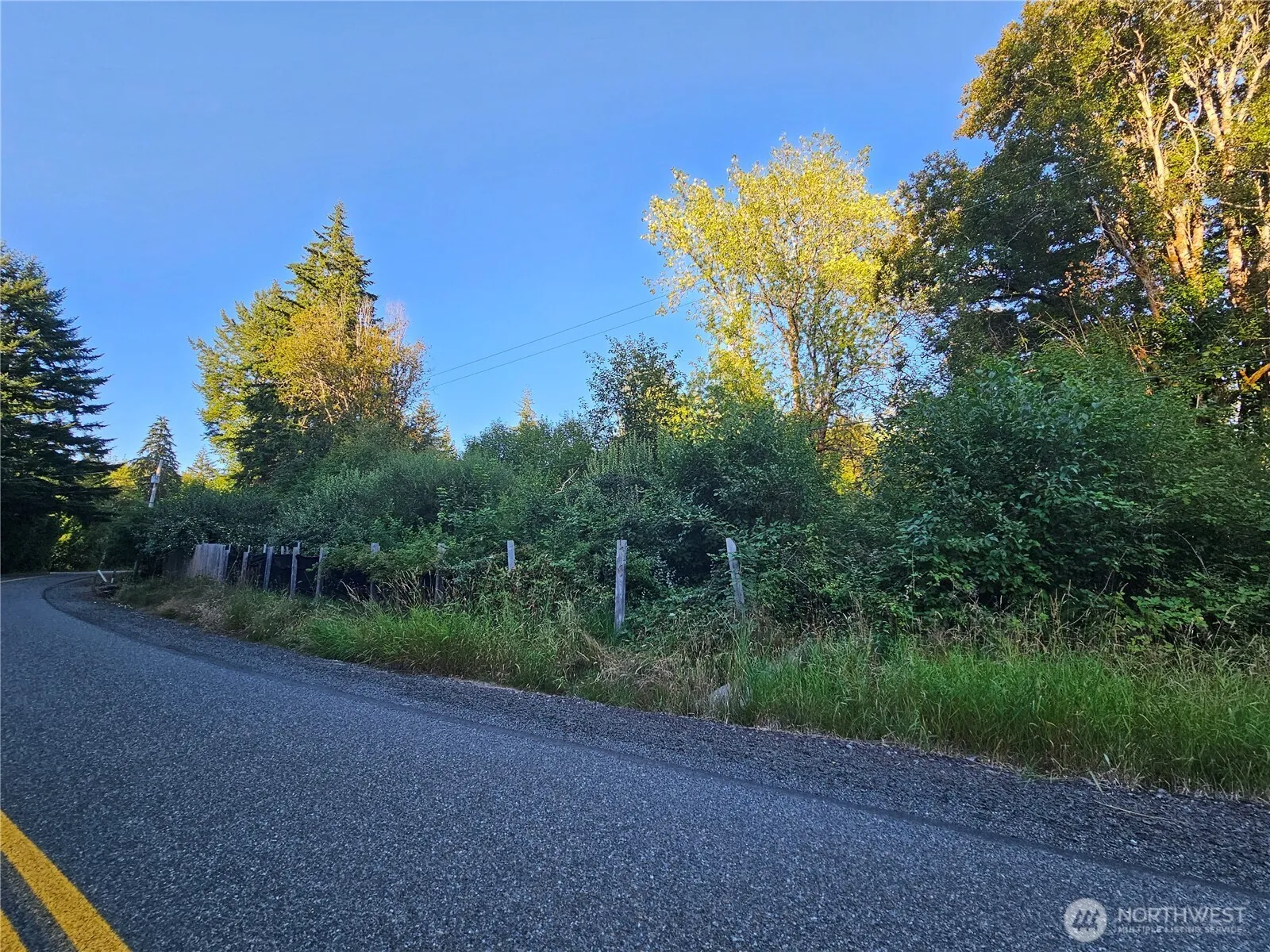 Property photo for 236 Porter Creek Road, Elma photo 2