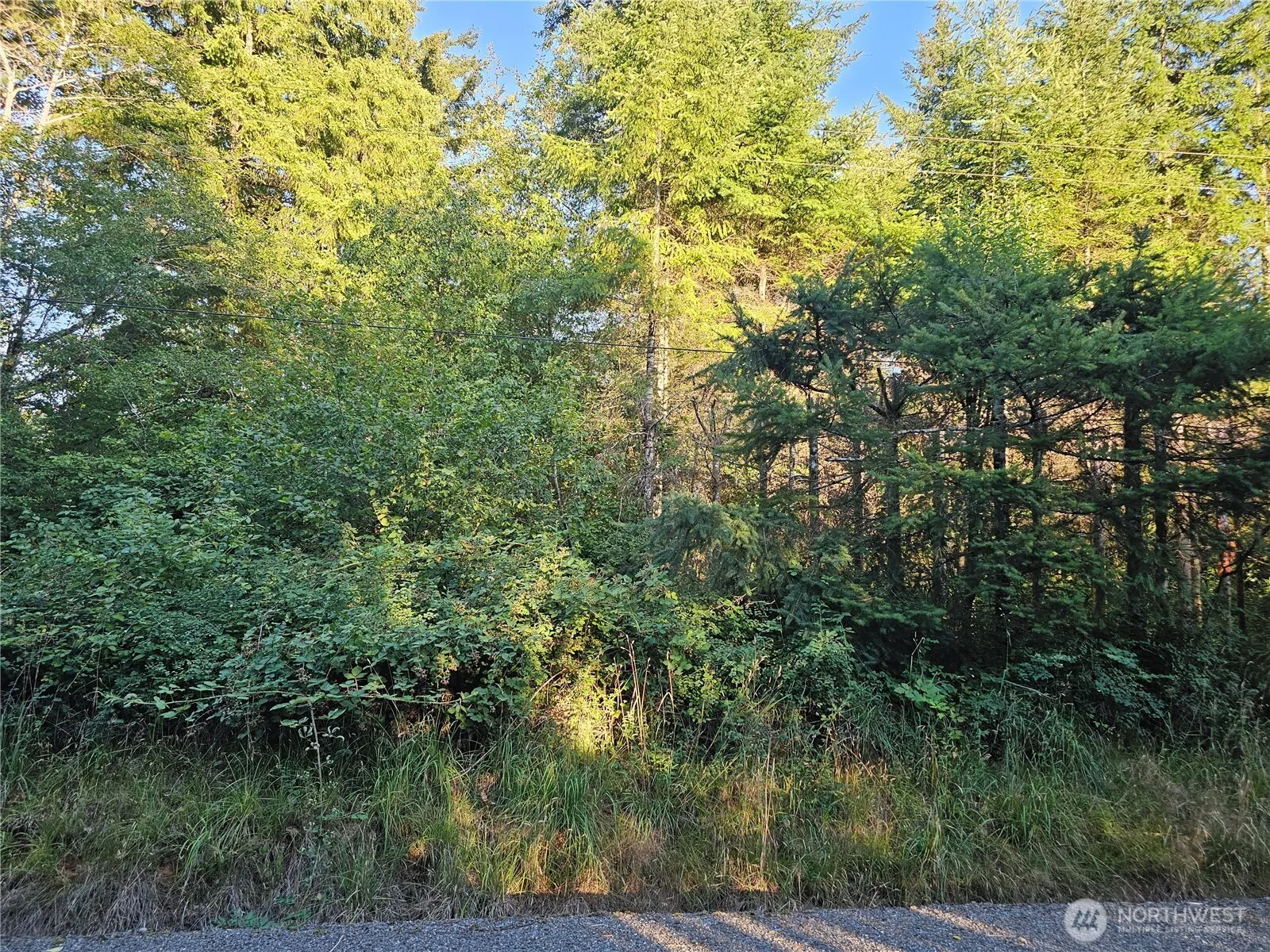 Property photo for 236 Porter Creek Road, Elma photo 4