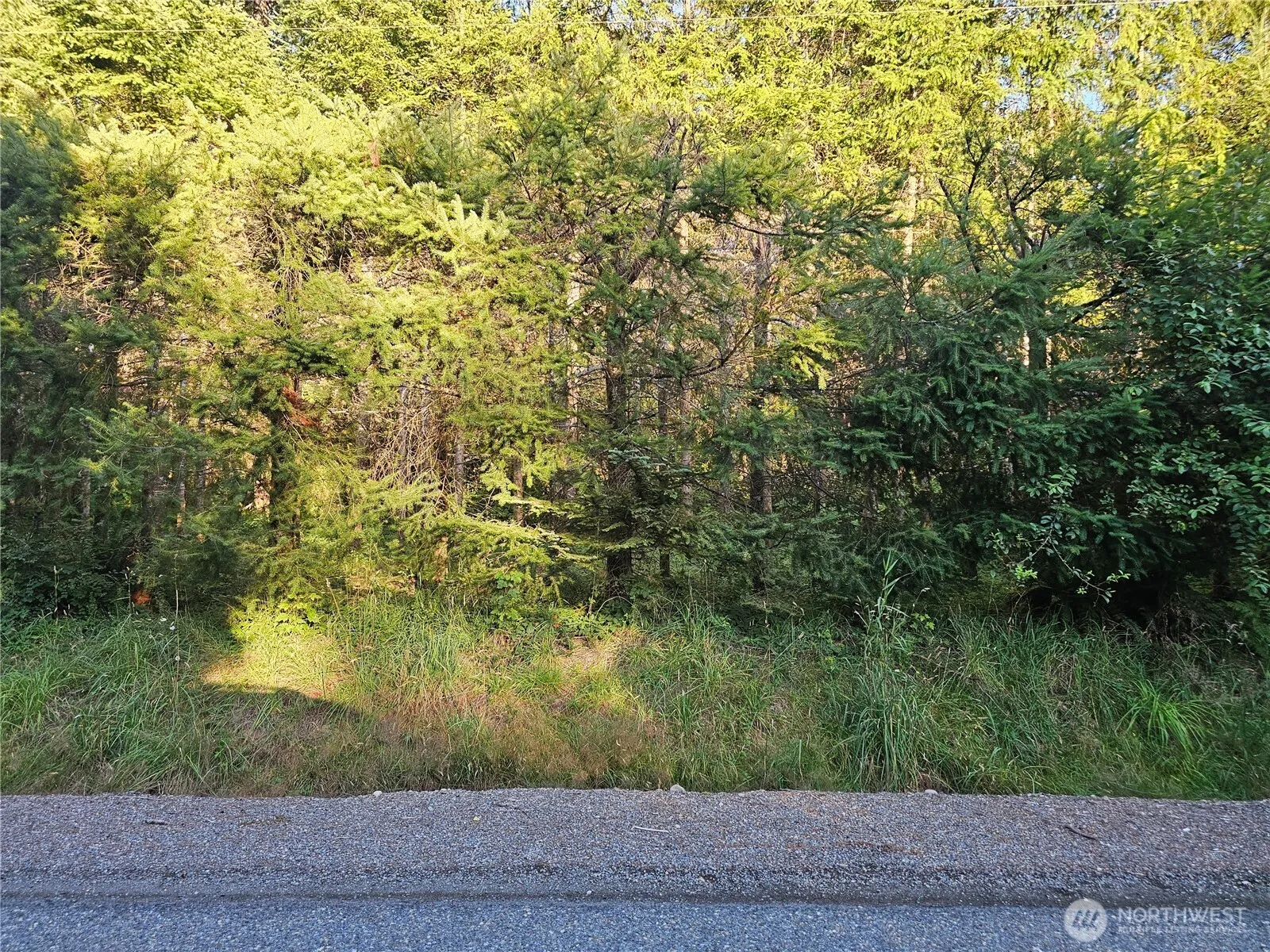 Property photo for 236 Porter Creek Road, Elma photo 5