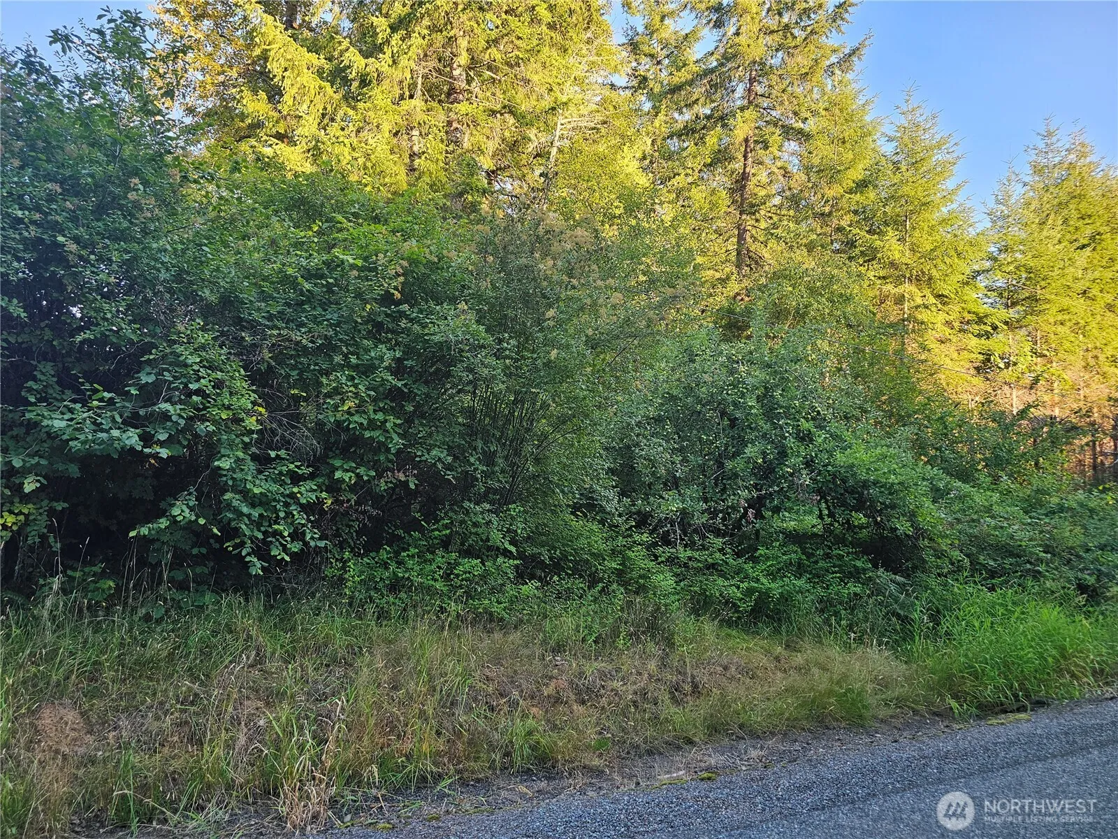 Property photo for 236 Porter Creek Road, Elma photo 3
