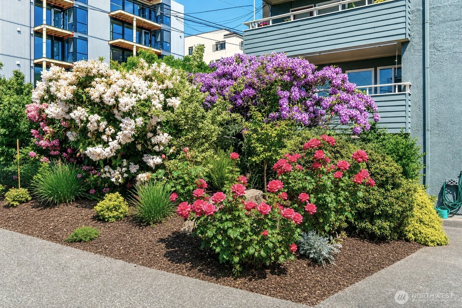 Property photo for 75 E Lynn Street ##b, Seattle photo 3