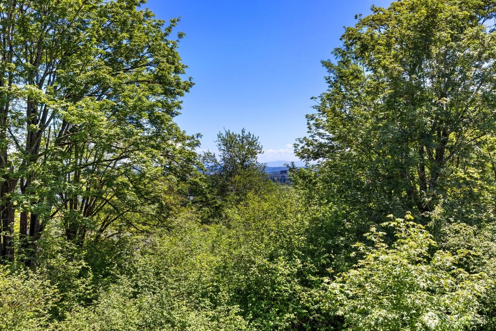 Property photo for 6726 35th Place S, Seattle