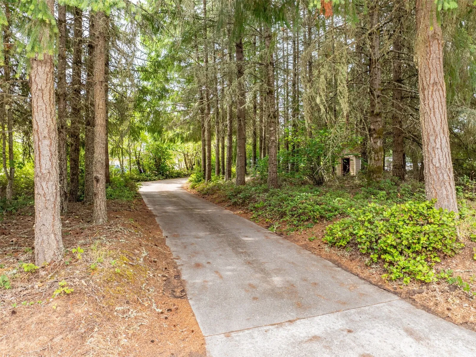 Property photo for 375 Curtis Hill Road, Chehalis photo 2