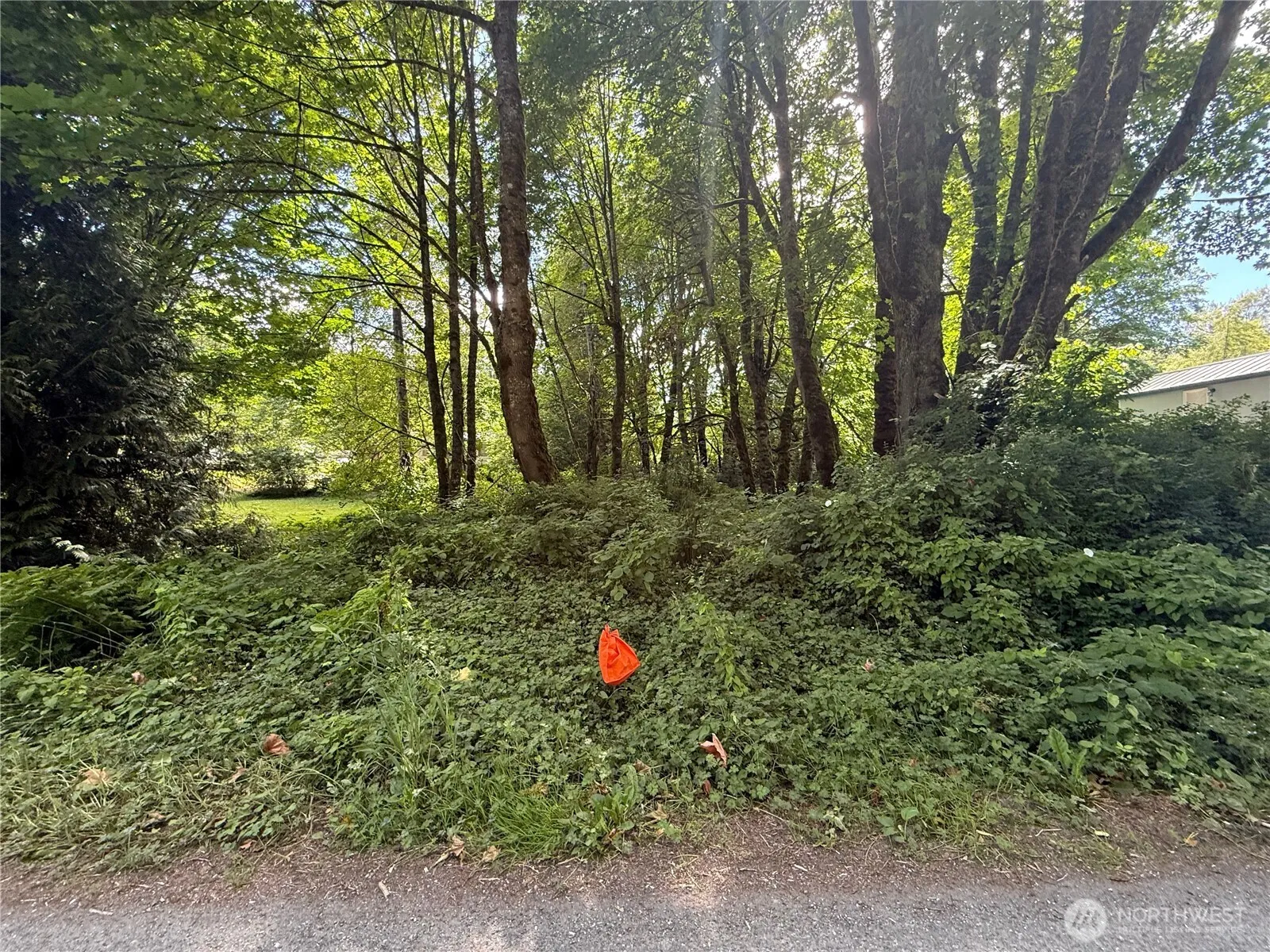 Property photo for 0 Cape Horn Drive, Concrete photo 3