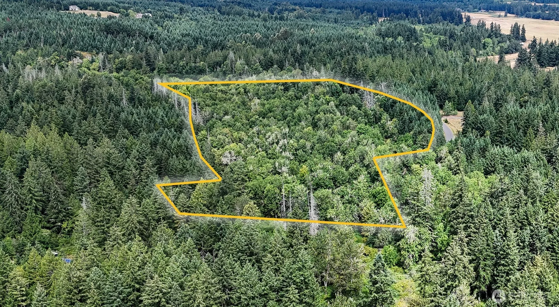Property photo for 14535 Mcintosh Lane Se, Tenino photo 4
