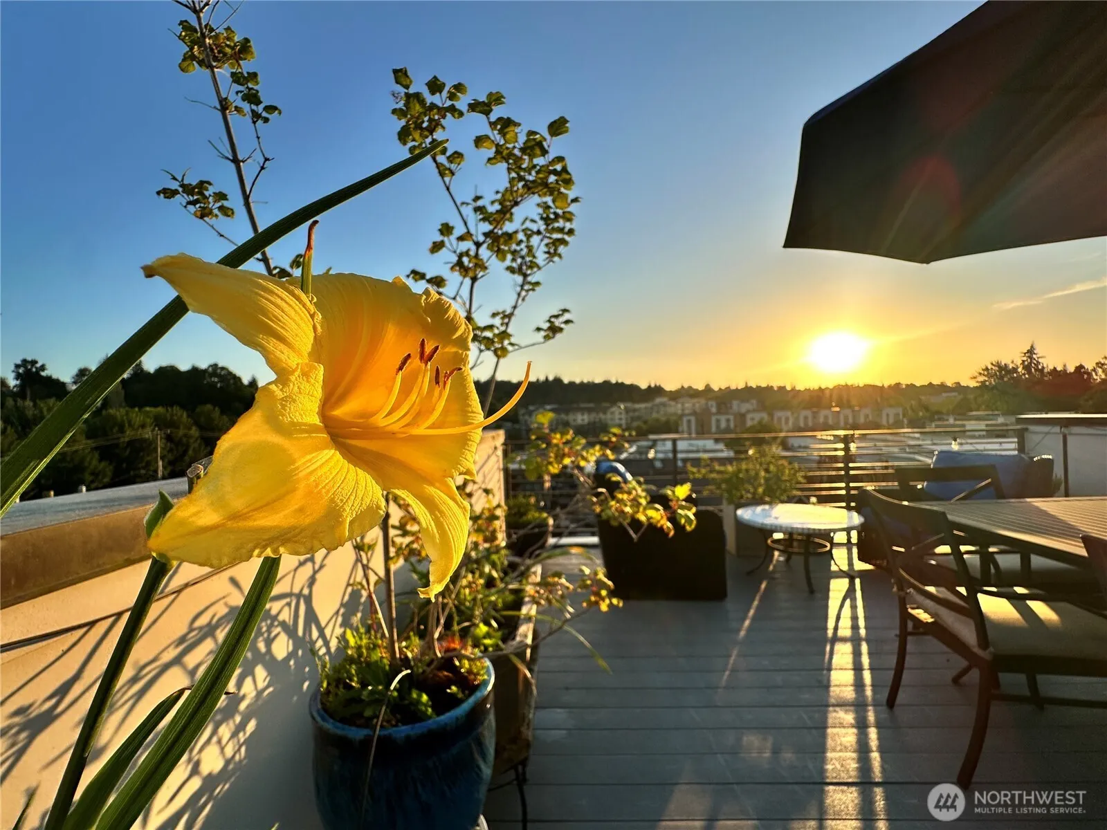 Property photo for 3638 Courtland Place S #b, Seattle