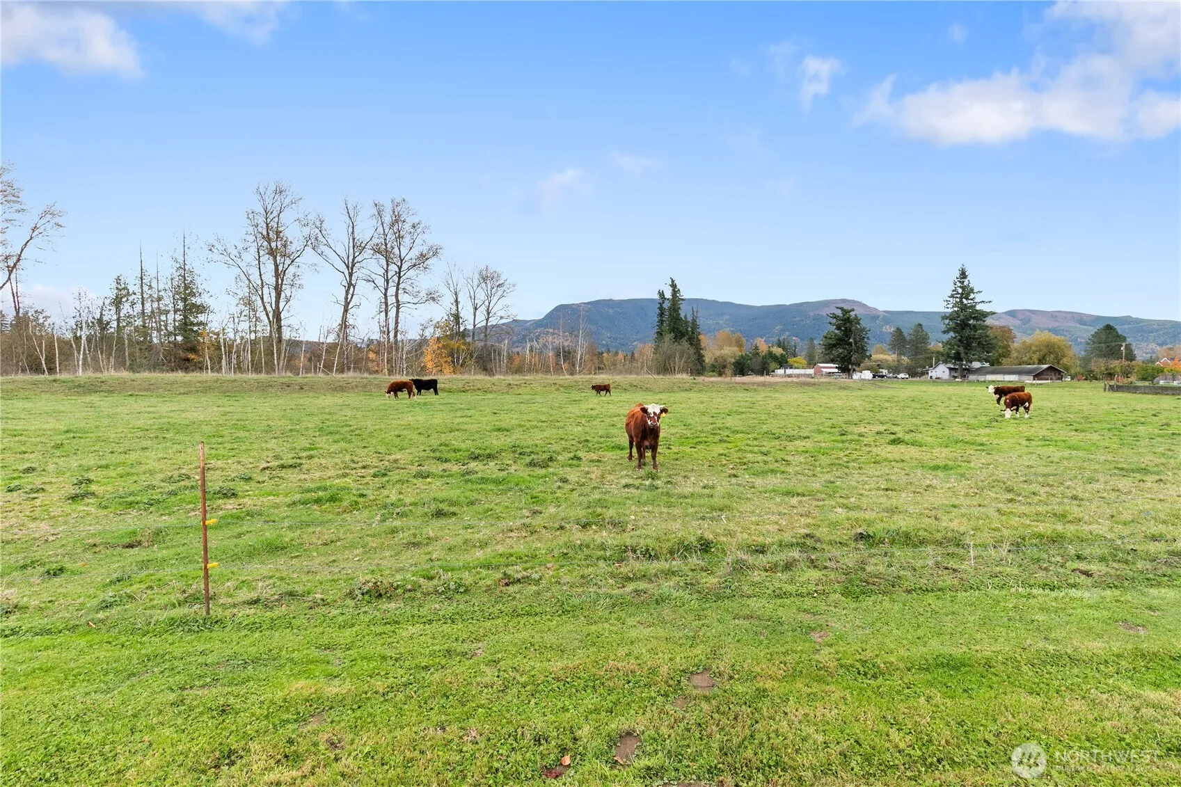 Property photo for 107 South Pass Road #14, Nooksack photo 5