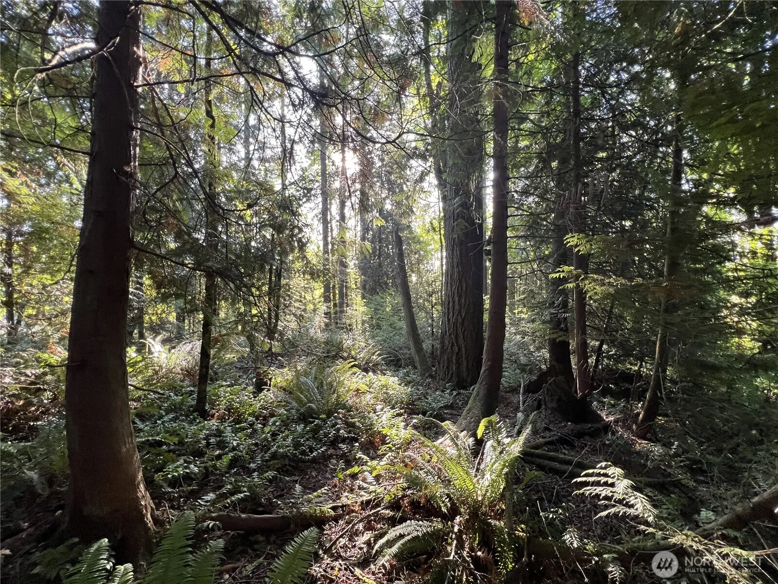 Property photo for 0 Old Pacific Highway, Castle Rock