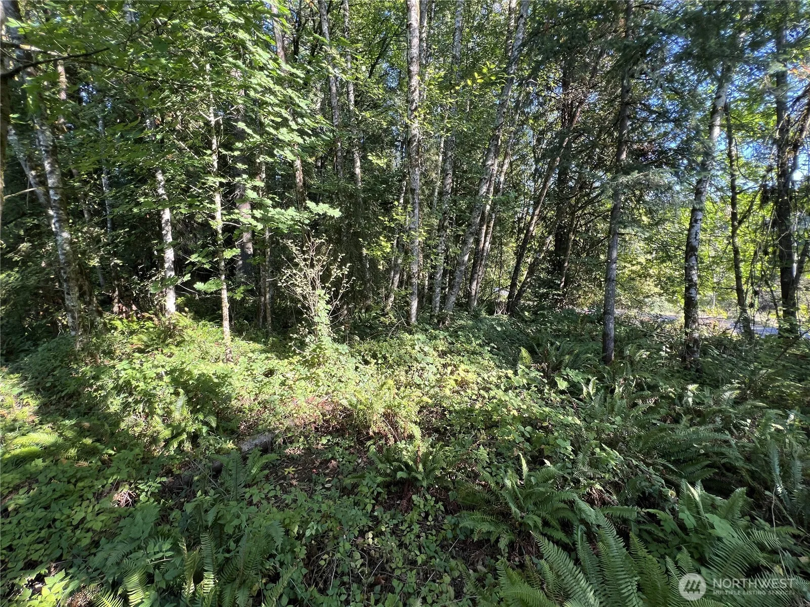 Property photo for 0 Old Pacific Highway, Castle Rock photo 2