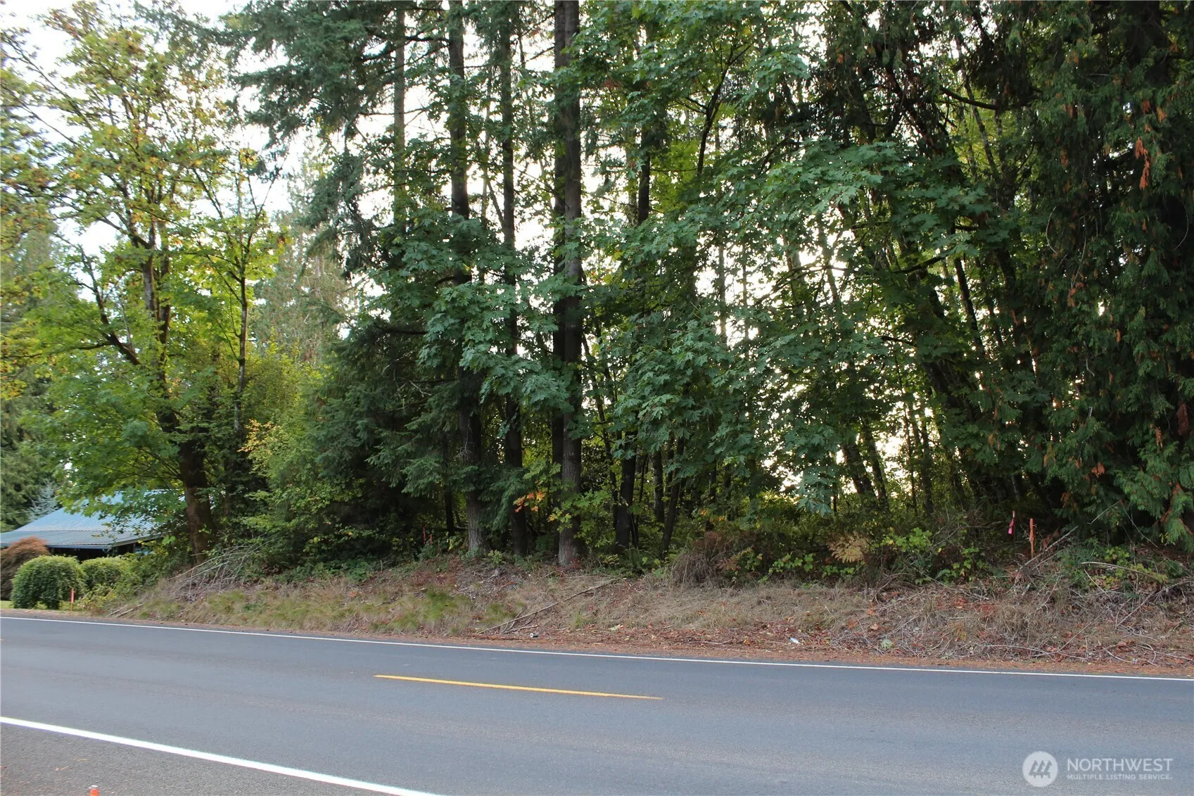 Property photo for 0 Old Pacific Highway, Castle Rock photo 5