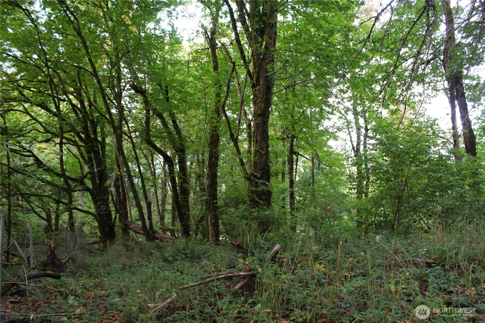 Property photo for 0 Old Pacific Highway, Castle Rock photo 5