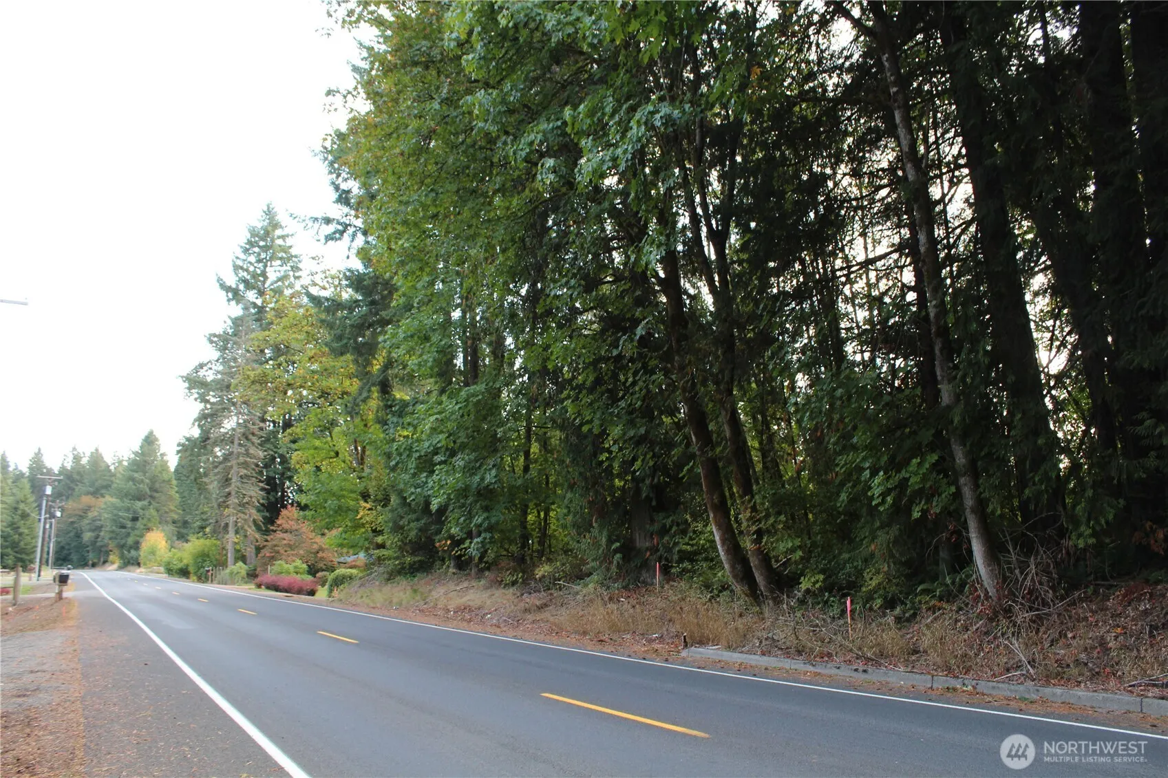 Property photo for 0 Old Pacific Highway, Castle Rock photo 3