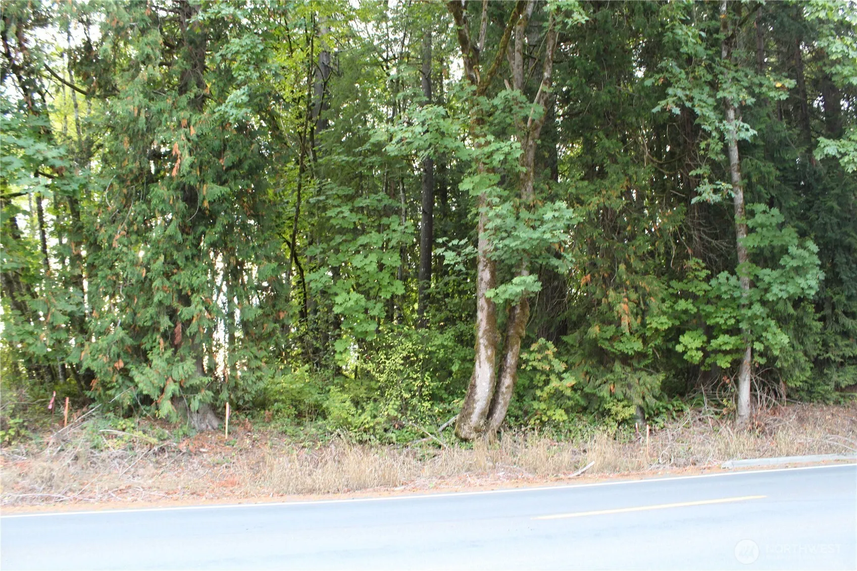 Property photo for 0 Old Pacific Highway, Castle Rock photo 2