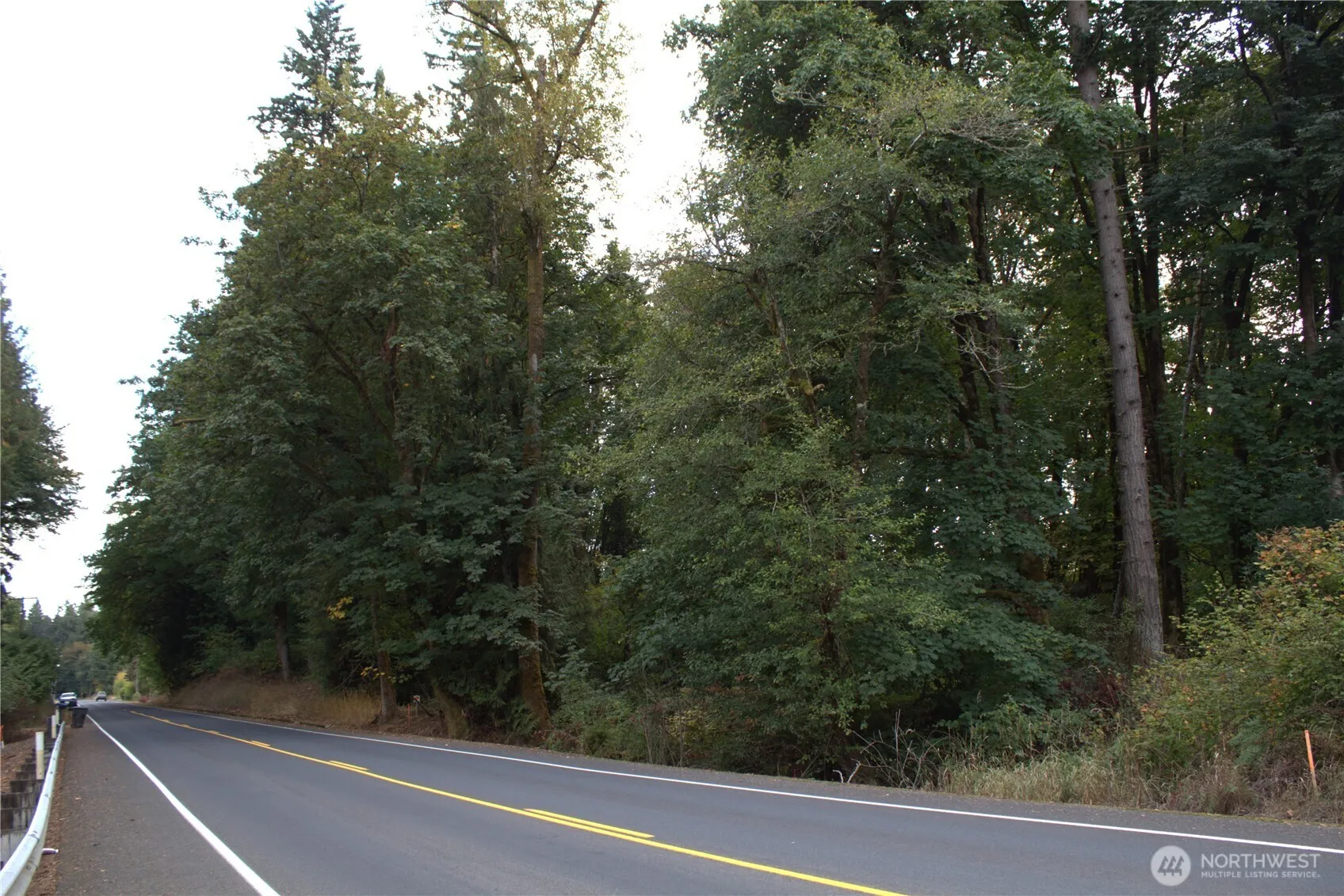 Property photo for 0 Old Pacific Highway, Castle Rock photo 3