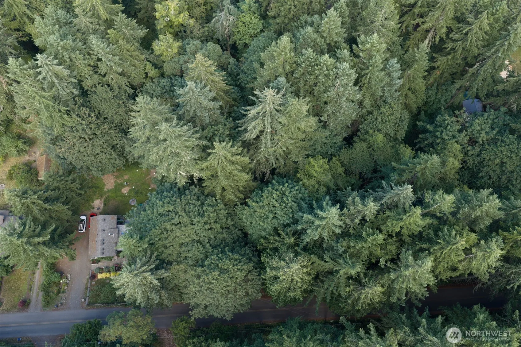 Property photo for 5320 New Sweden Avenue Ne, Bainbridge Island photo 5