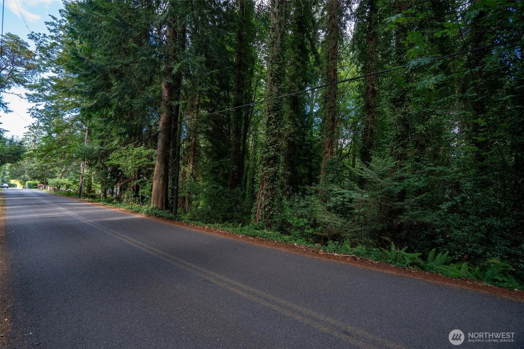 Property photo for 5320 New Sweden Avenue Ne, Bainbridge Island photo 4