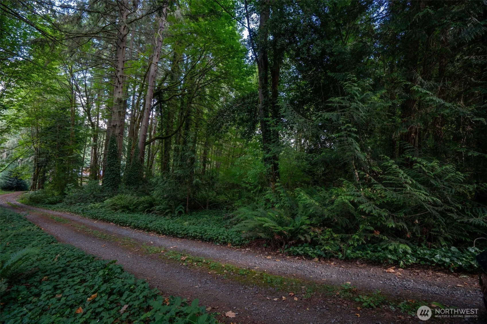 Property photo for 5320 New Sweden Avenue Ne, Bainbridge Island photo 2