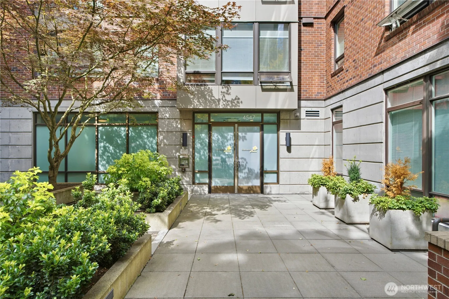 Property photo for 4547 8th Avenue Ne #311, Seattle