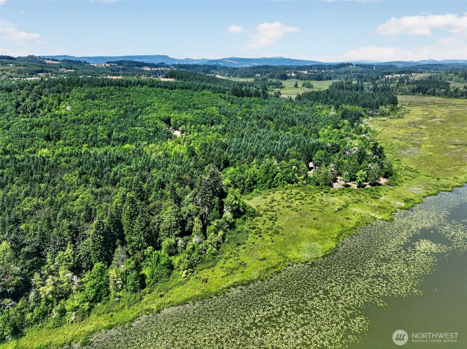 Property photo for 0 Xxx West Shore Rd, Castle Rock photo 5