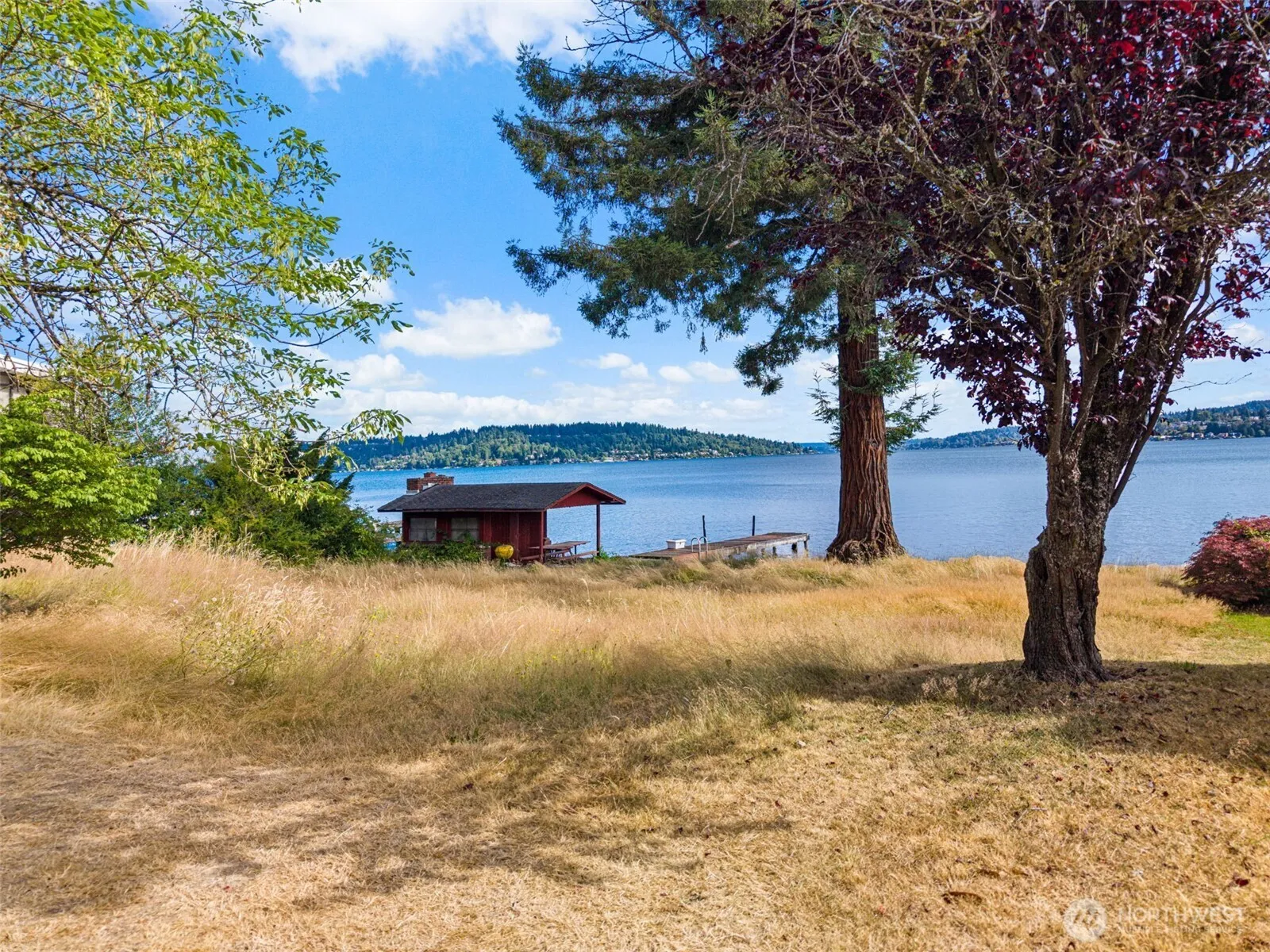 Property photo for 11136 Rainier Avenue S, Seattle photo 4