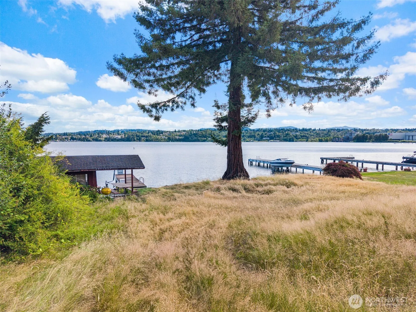 Property photo for 11136 Rainier Avenue S, Seattle photo 5
