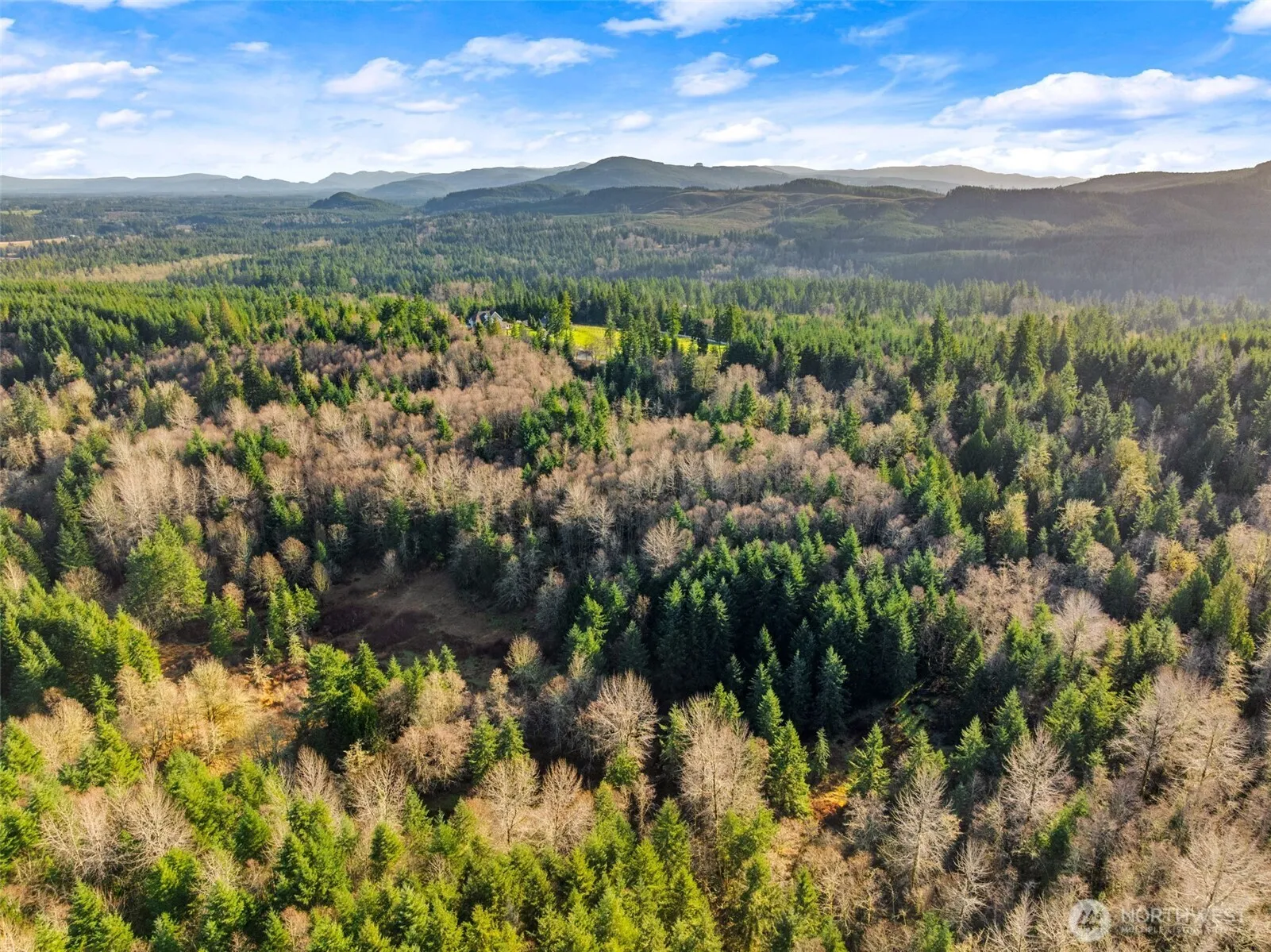Property photo for 7840 Wapiti Lane Se, Tenino photo 4