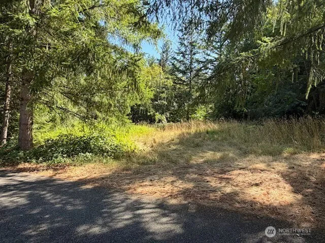 Property photo for 26003 Se Issaquah-fall City Road, Issaquah photo 2