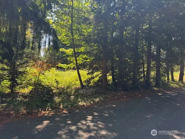 Property photo for 26003 Se Issaquah-fall City Road, Issaquah photo 4