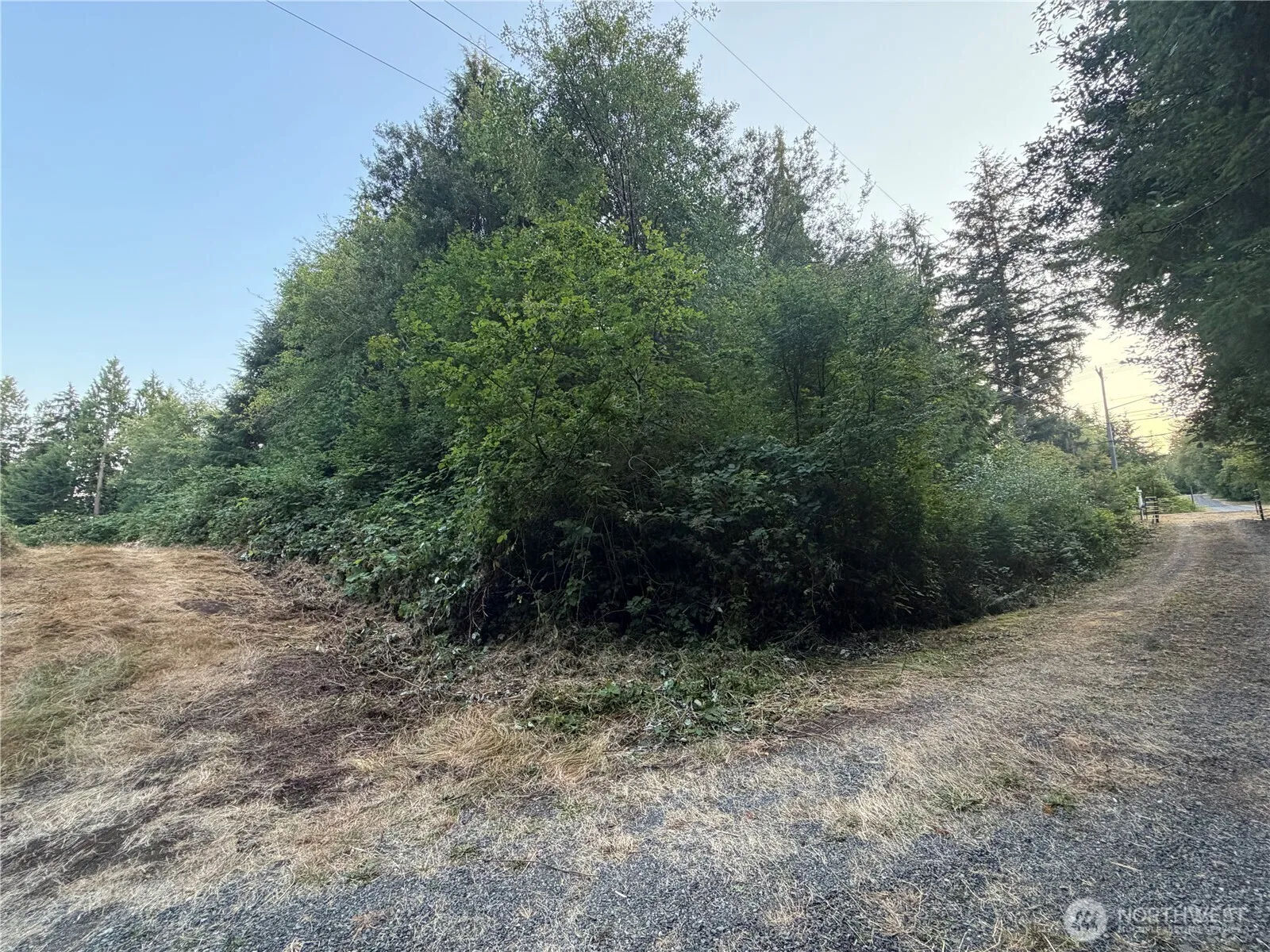 Property photo for 19009 51st Avenue Se, Bothell photo 3
