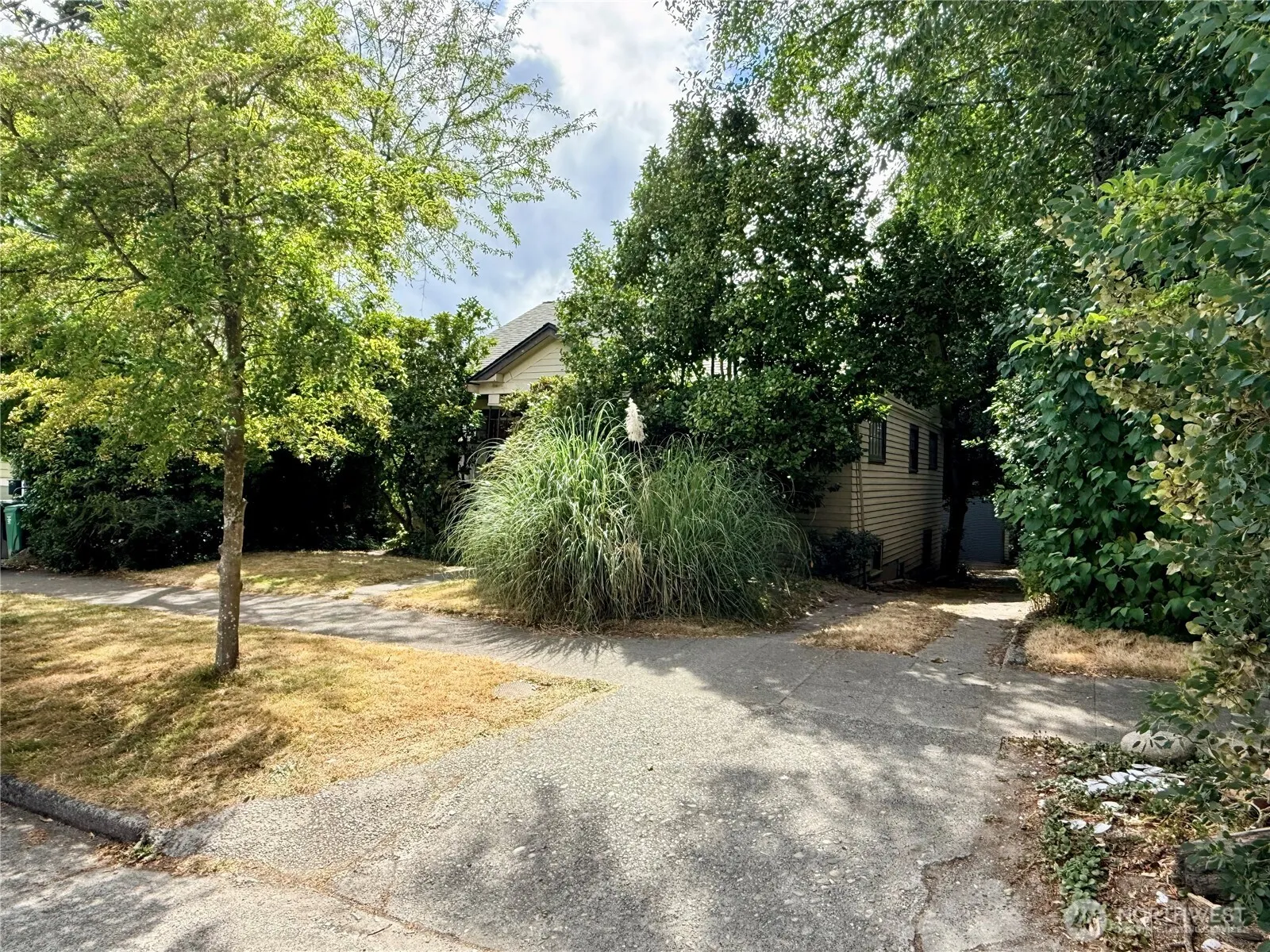 Property photo for 7011 14 Th Drive Nw, Seattle photo 5