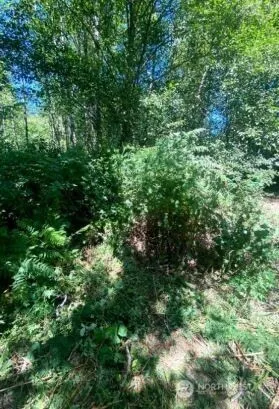 Property photo for 166 Se 51st Avenue, Bothell photo 5