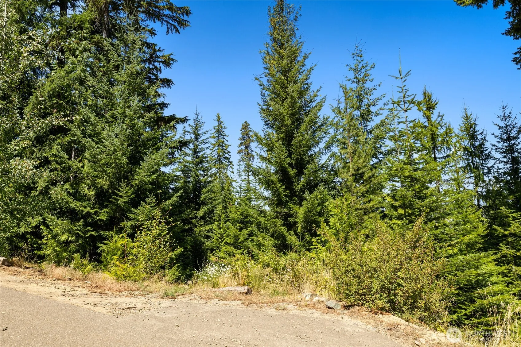 Property photo for 91 Basin Creek Way, Cle Elum photo 5