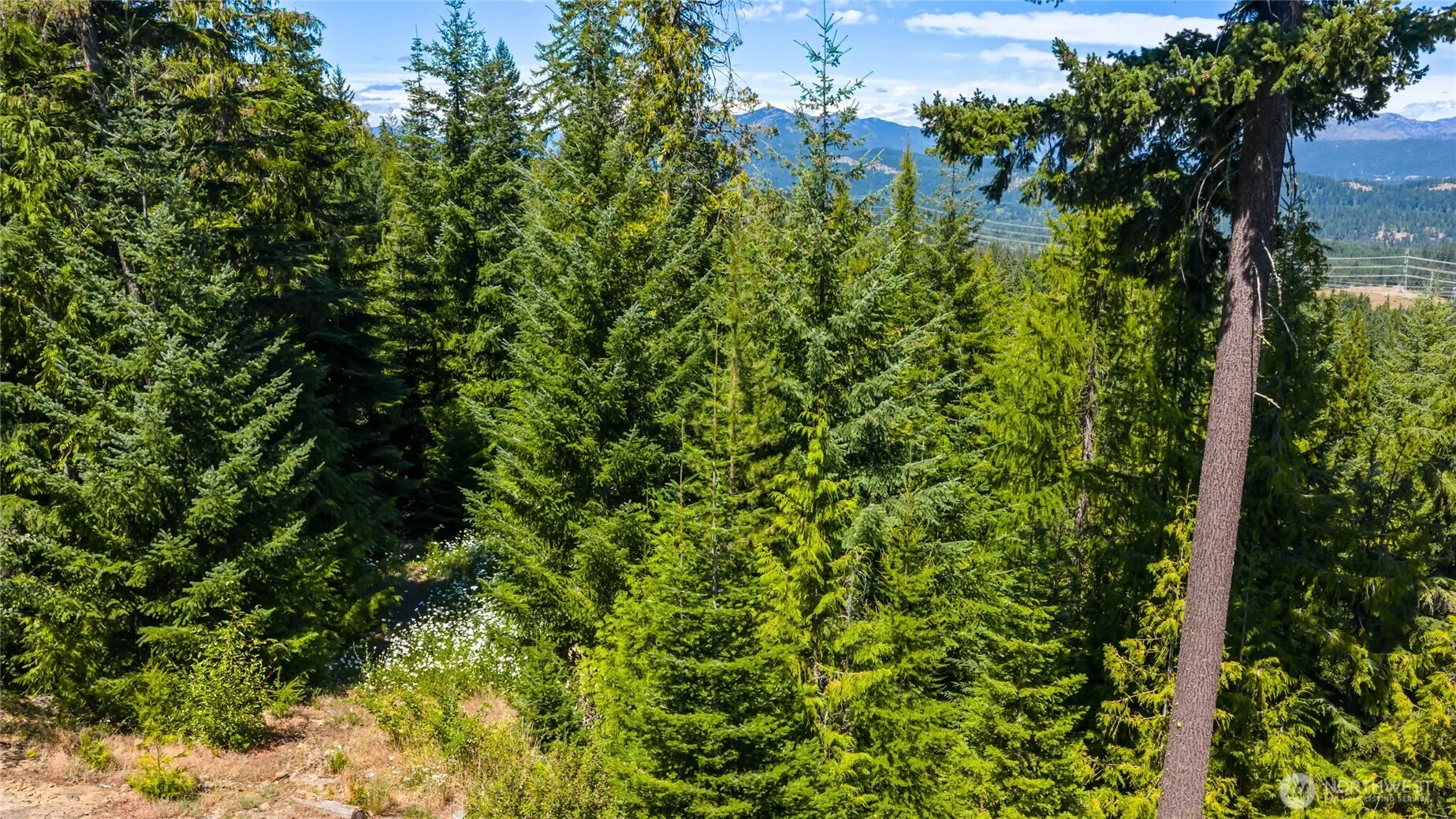 Property photo for 91 Basin Creek Way, Cle Elum