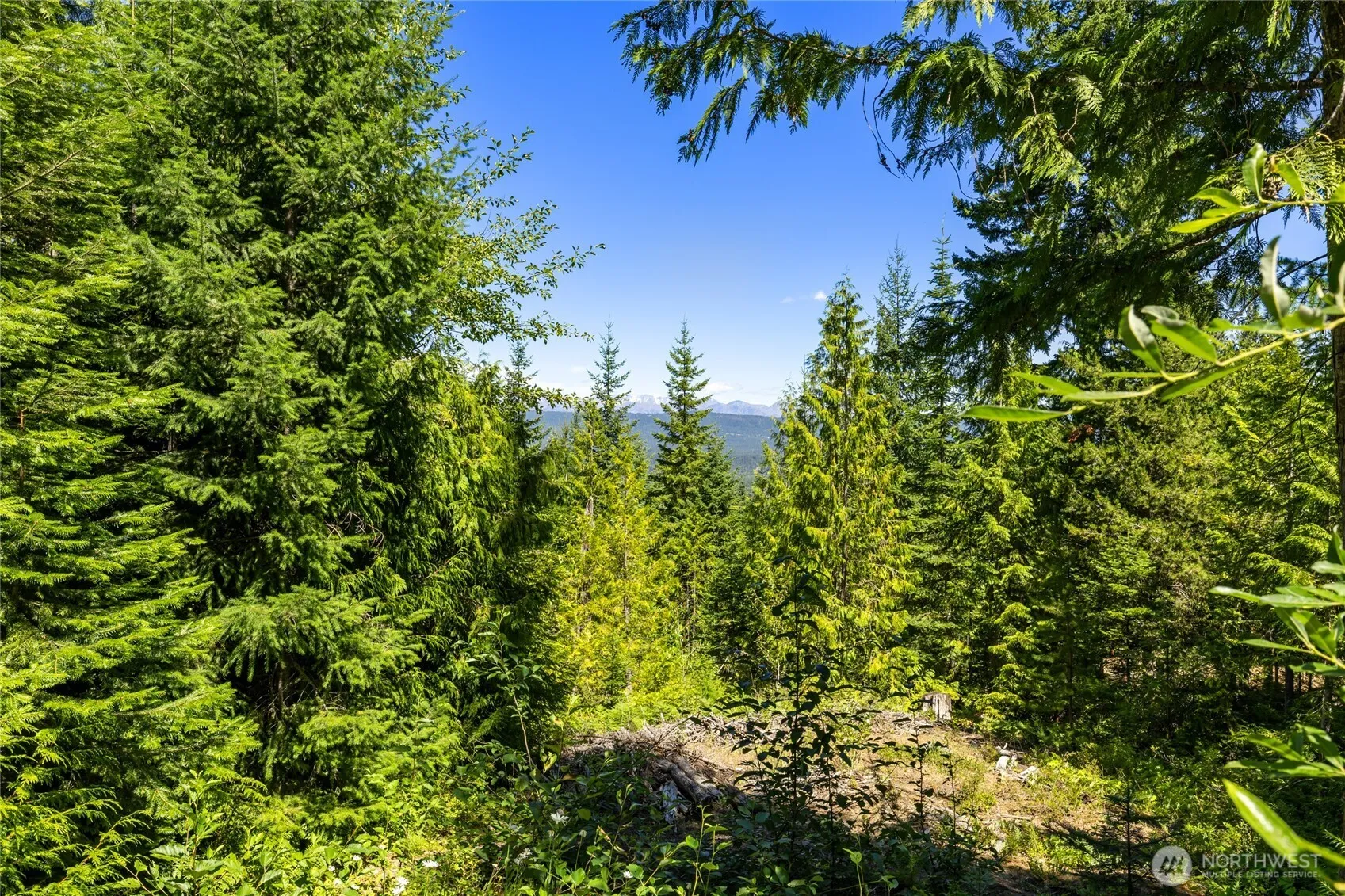 Property photo for 91 Basin Creek Way, Cle Elum photo 2