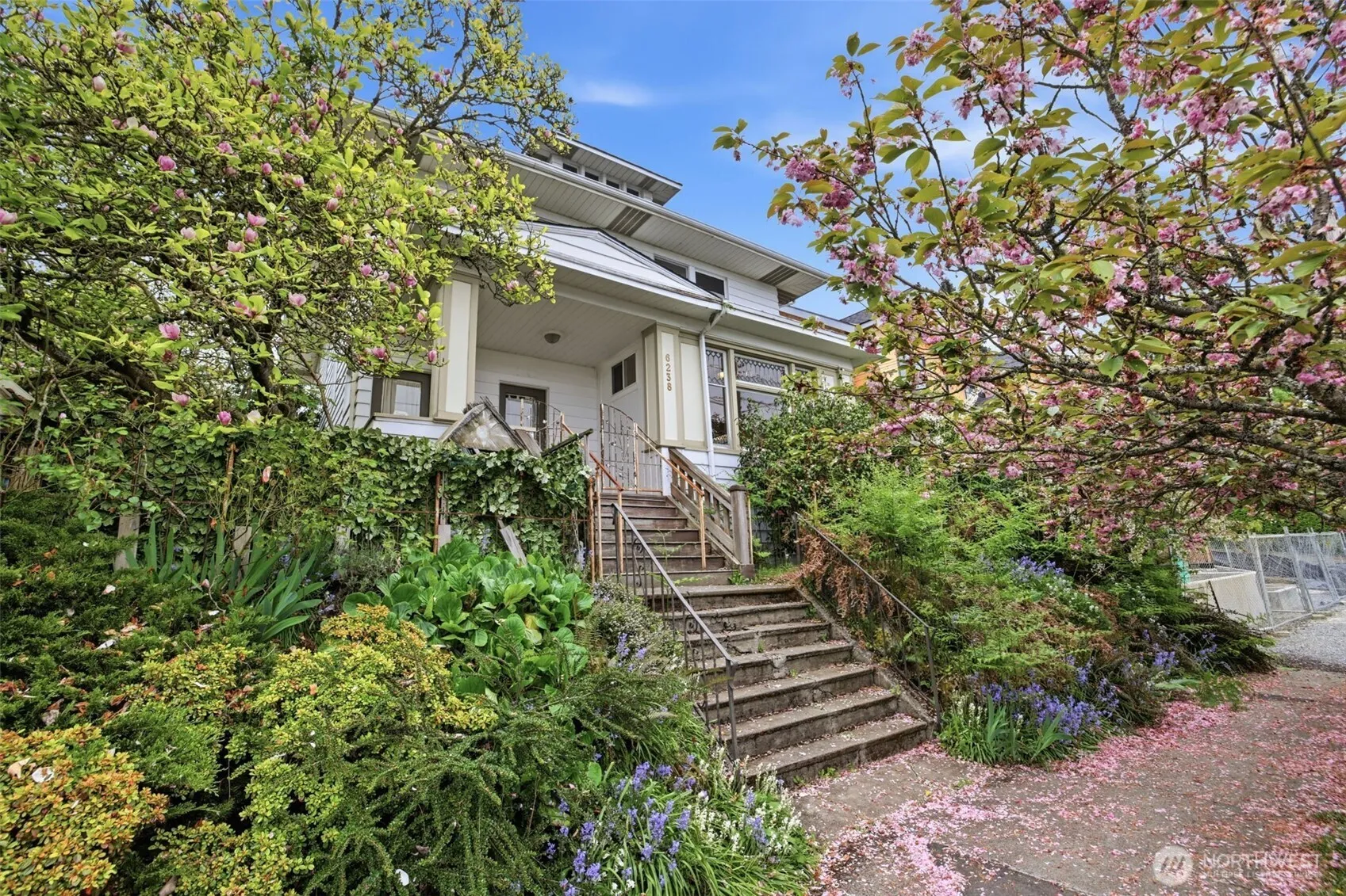 Property photo for 6238 Woodlawn Avenue N, Seattle photo 4