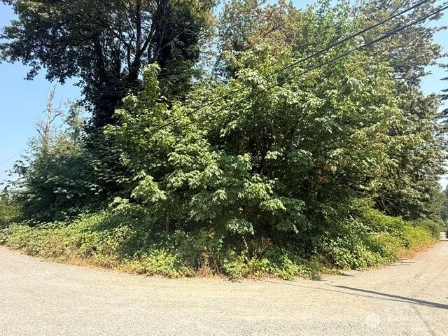 Property photo for 0 44th Avenue S, Auburn photo 3