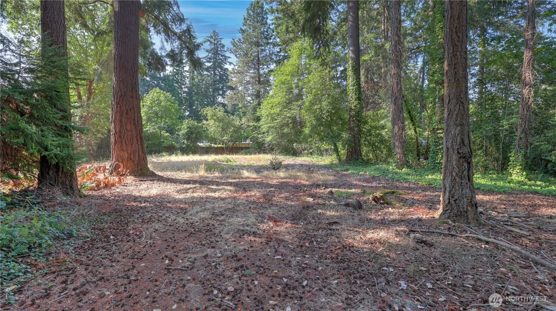 Property photo for 8817 Se 44th Street, Mercer Island photo 4