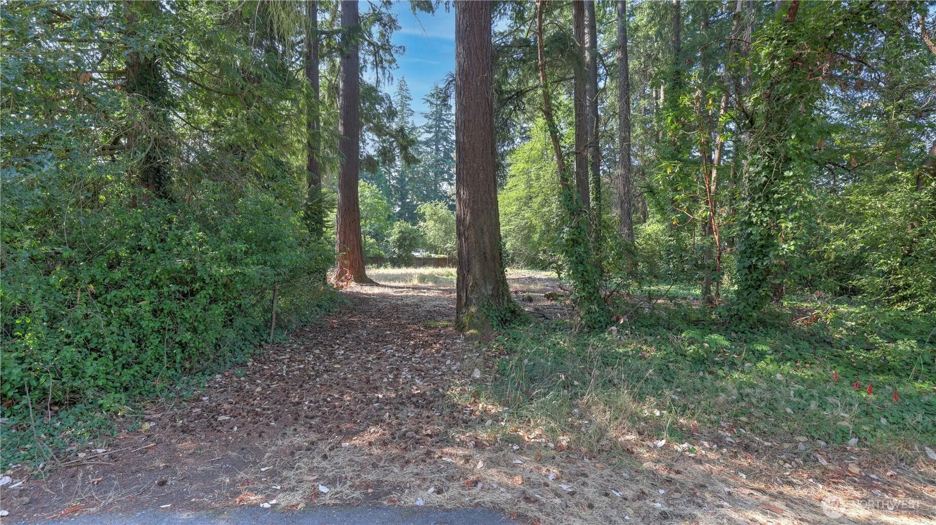 Property photo for 8817 Se 44th Street, Mercer Island photo 3