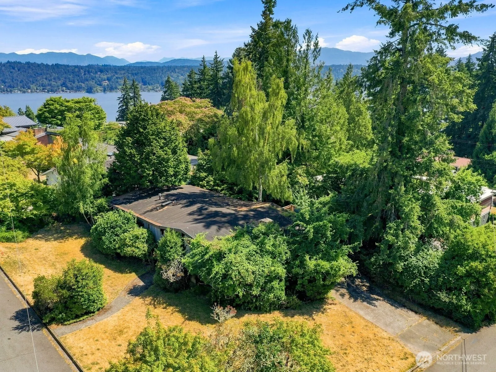 Property photo for 17805 Ne 9th Street, Bellevue photo 5