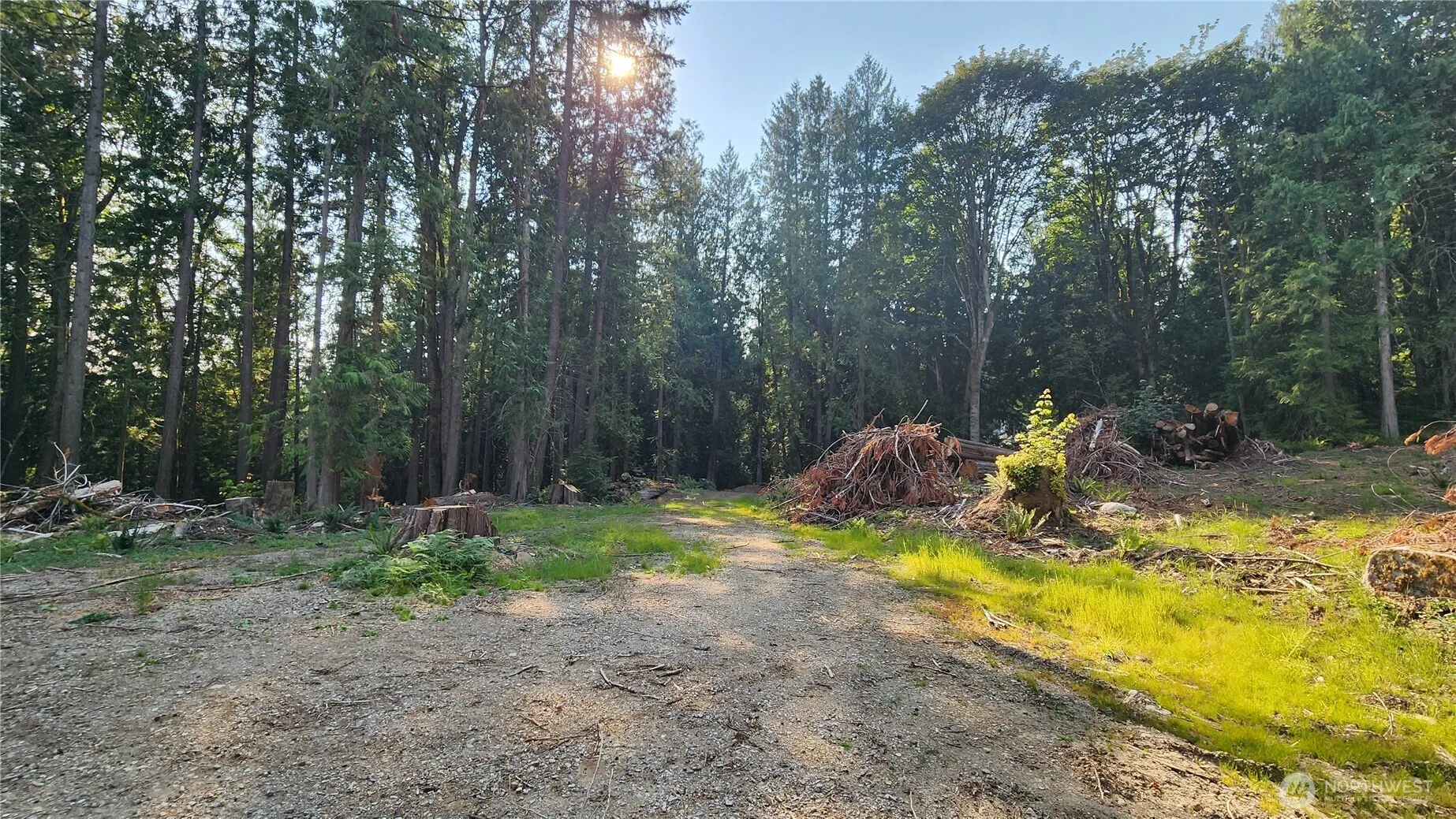 Property photo for 18813 126th Street Se, Snohomish photo 3