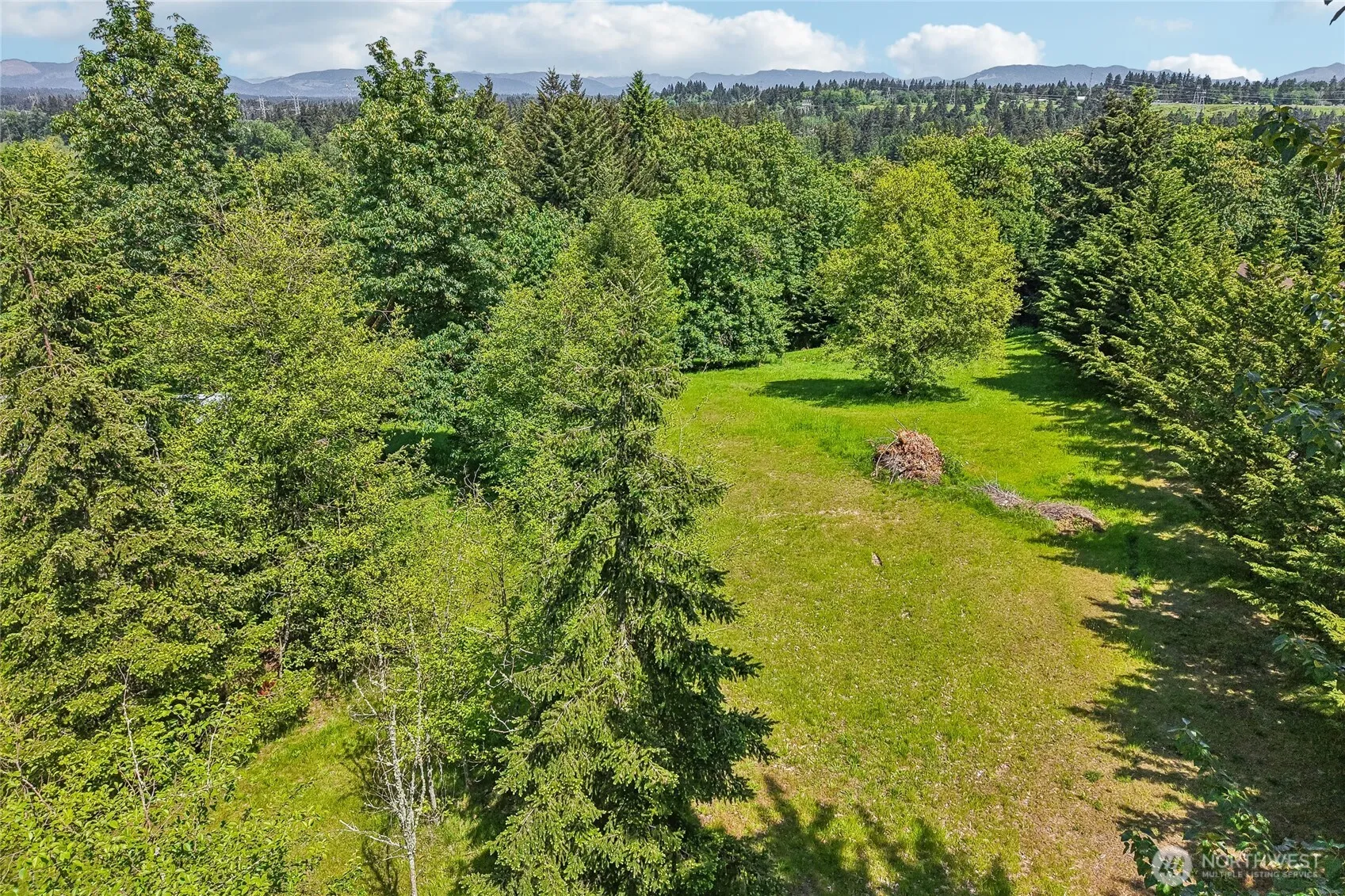 Property photo for 289 Xx 152nd Avenue Se, Kent photo 5