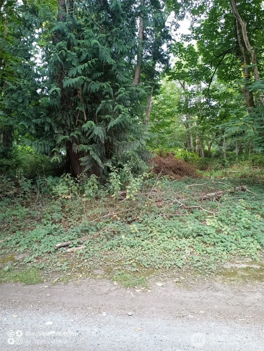 Property photo for 51 F Saratoga Drive, Hat Island