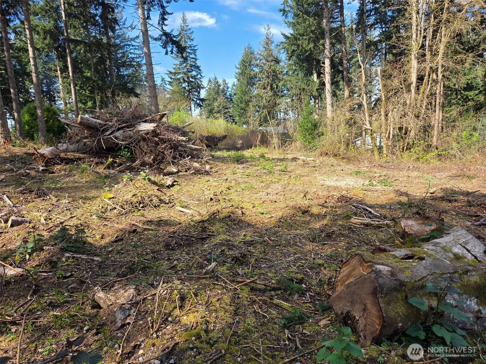Property photo for 70 B Port Susan Drive, Hat Island photo 4