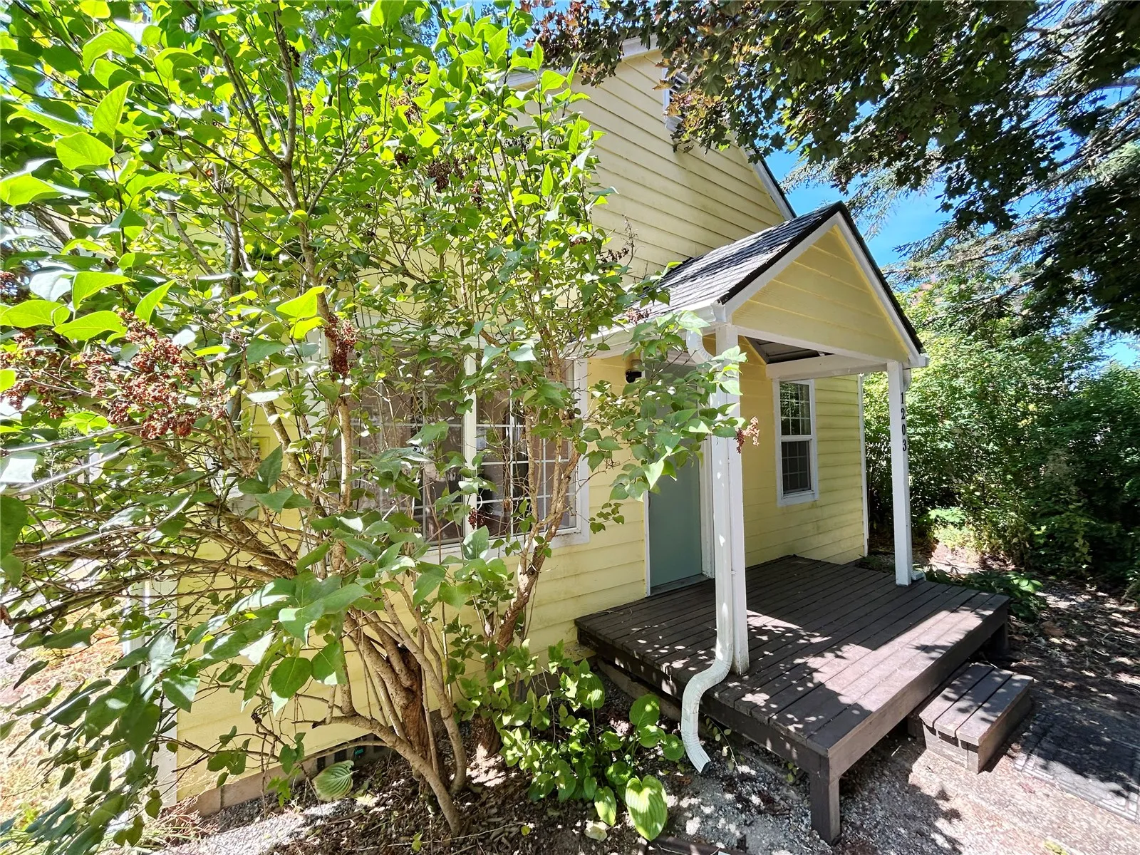 Property photo for 1203 Central Street Ne, Olympia photo 3
