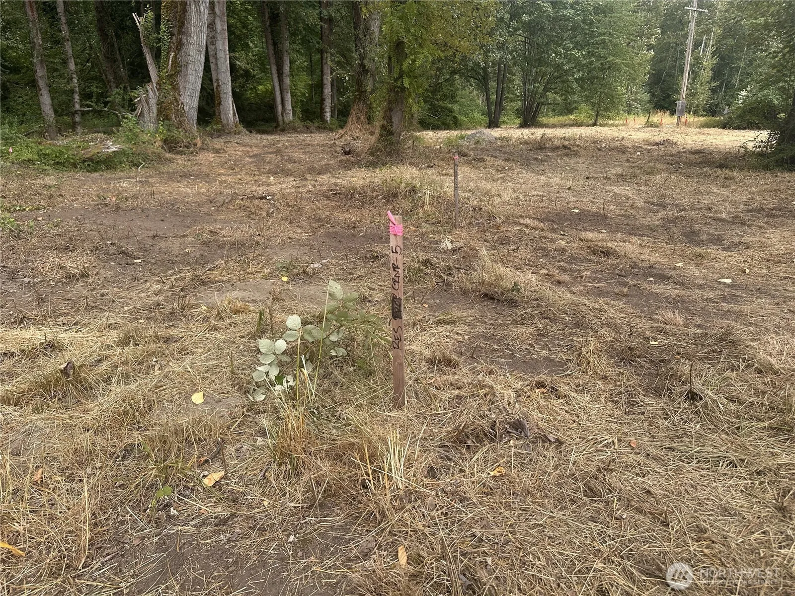 Property photo for 154 Xx Se Jones Road, Renton photo 3